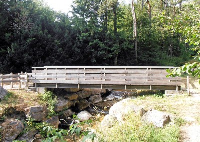 Passerelle piétonnière - Lac de la Crossetaz à Habère-Lullin